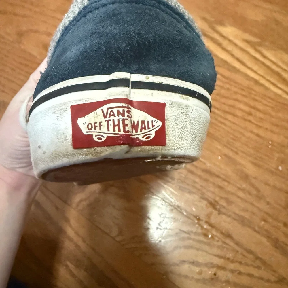 Vans iconic skate